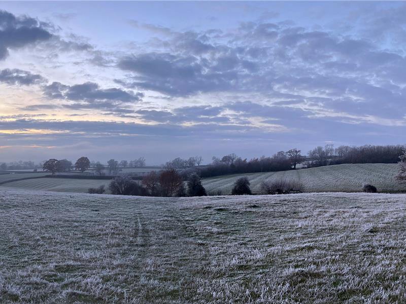 A Crisp Winter's Day @ Barby Meadow Woods