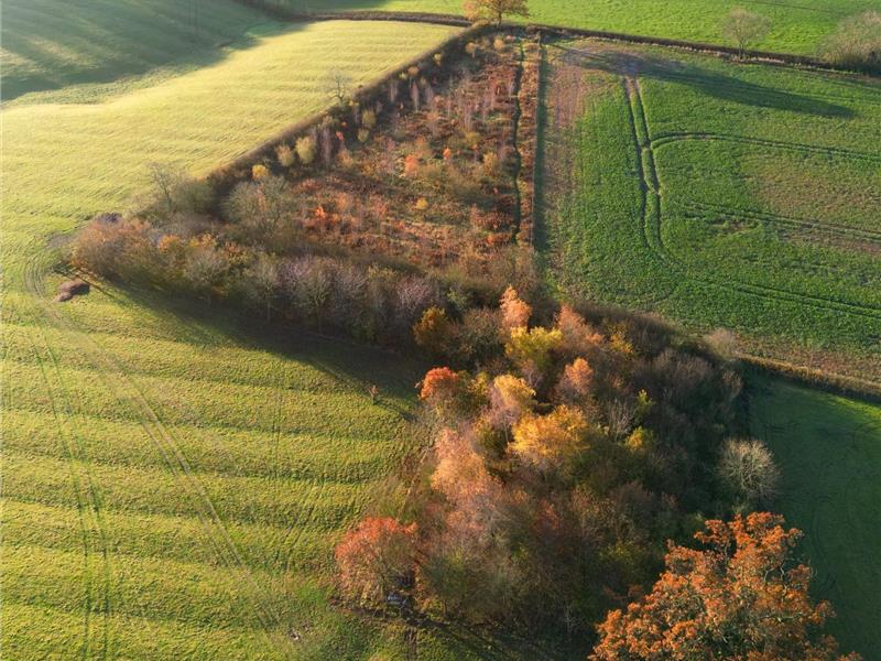 Autumnal Drone Photos