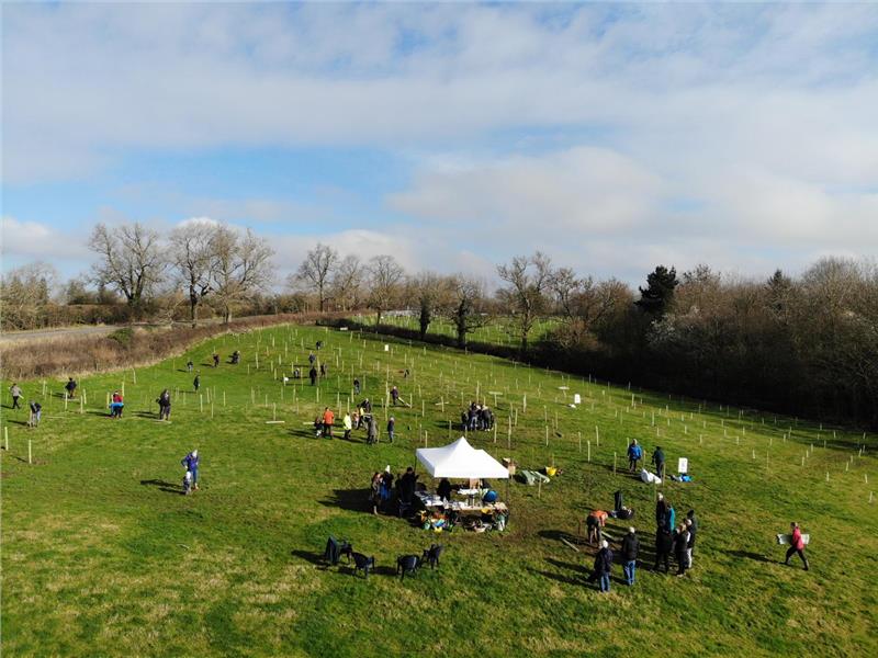 Community Tree Planting Day