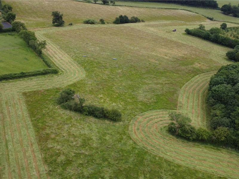 Making hay to support future plans on the site