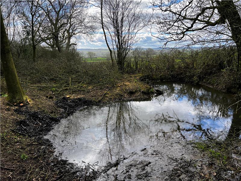 Opening up the dew pond in Camps Copse