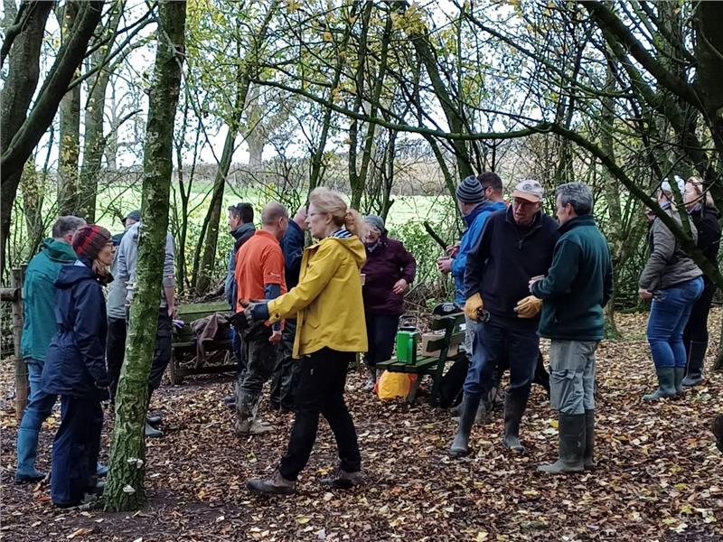 Pre-planting site preparations