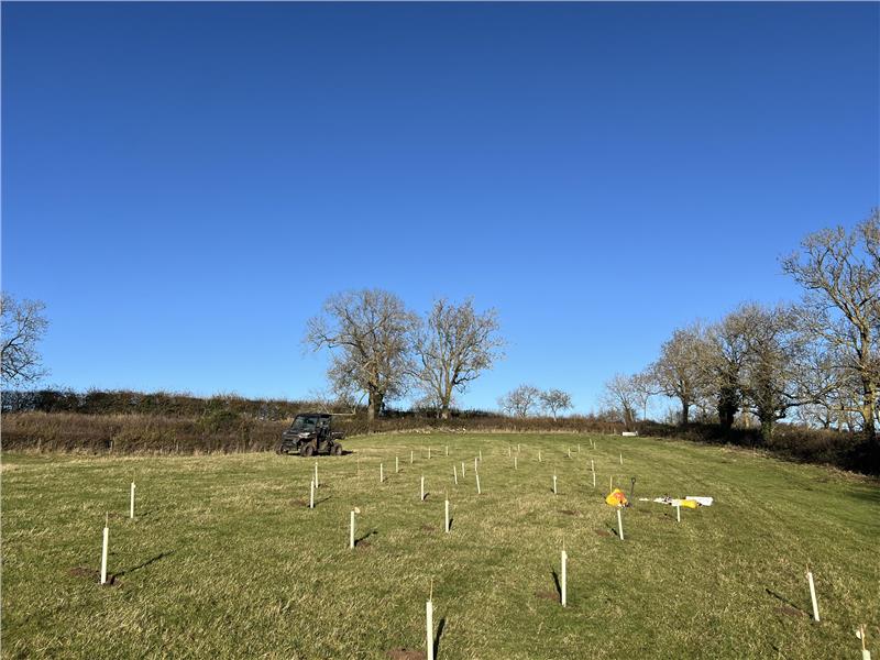 Pupils of Barby C of E Primary School plant our first new saplings