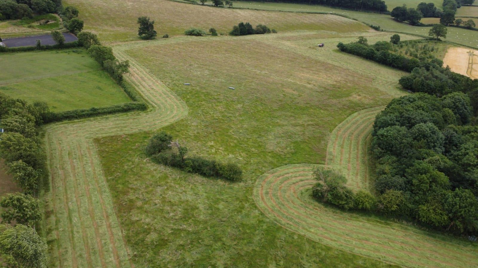 Making hay to support future plans on the site